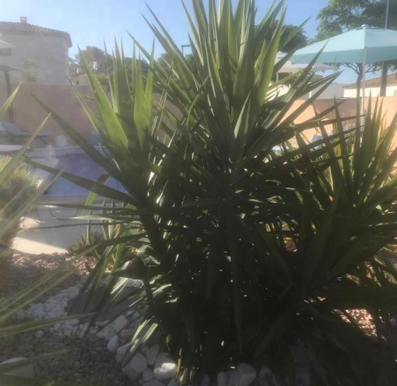 צימר Chambre D Hôtes Dans Villa Diane