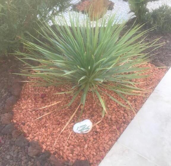 צימר Chambre D Hôtes Dans Villa Diane