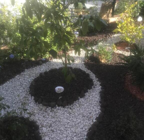 ベッドアンドブレックファースト Chambre D Hôtes Dans Villa Diane