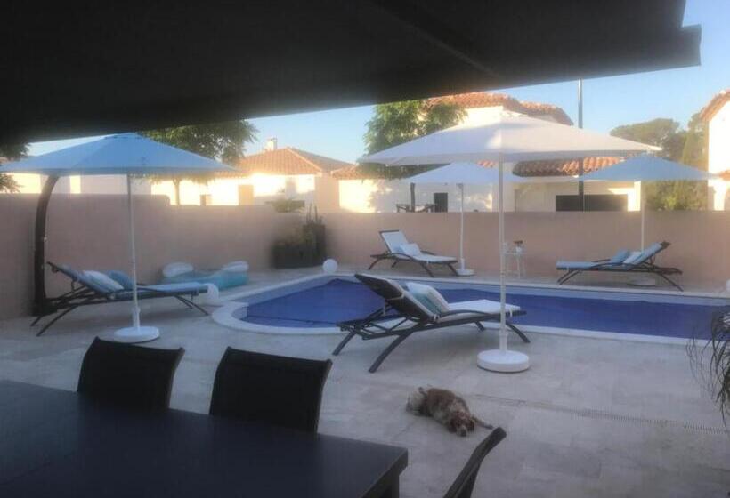 צימר Chambre D Hôtes Dans Villa Diane