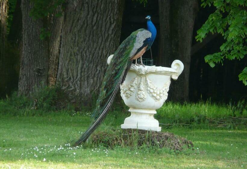 צימר Château De Piolant