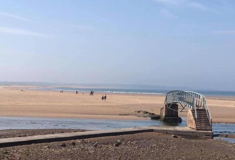 住宿加早餐  Dreamhaven