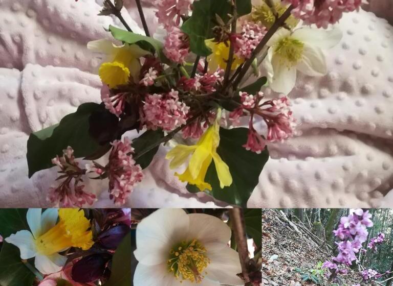 ベッドアンドブレックファースト La Combe Fleurie