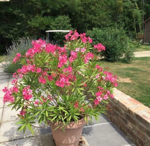 مبيت وإفطار Le Clos Du Golf