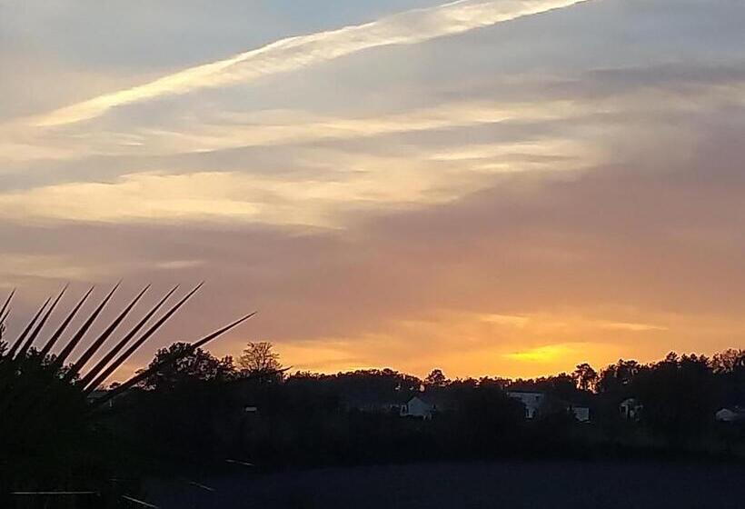 민박 Montismaurelli