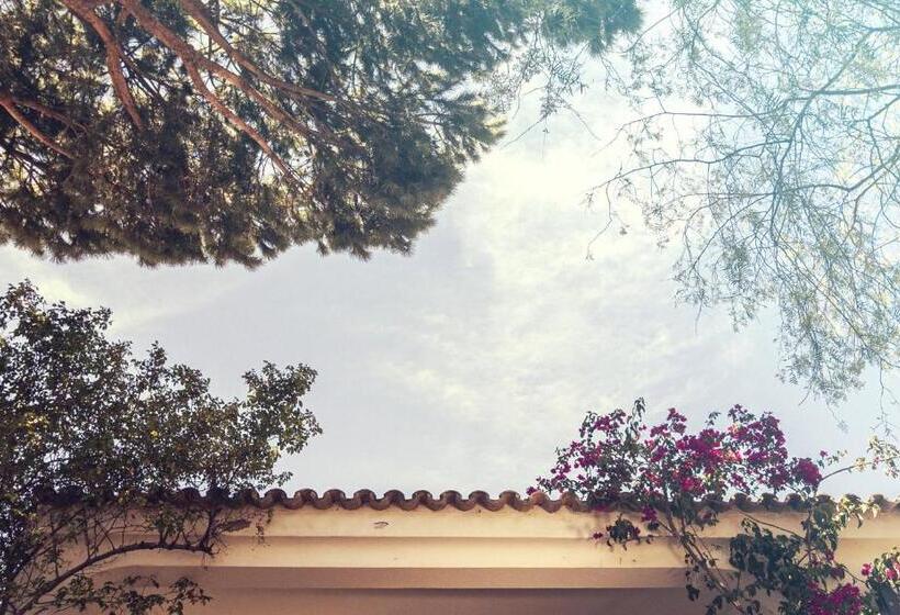 تختخواب و صبحانه Pine House   Faro Airport, Beach And City Center