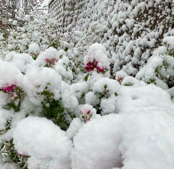 مبيت وإفطار Une Envie De Montagne