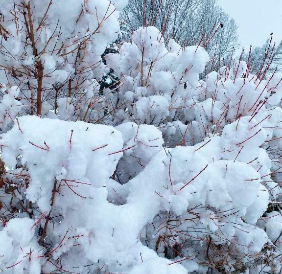 مبيت وإفطار Une Envie De Montagne