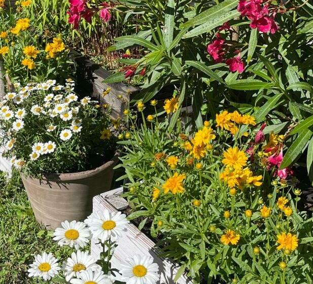 مبيت وإفطار Une Envie De Montagne