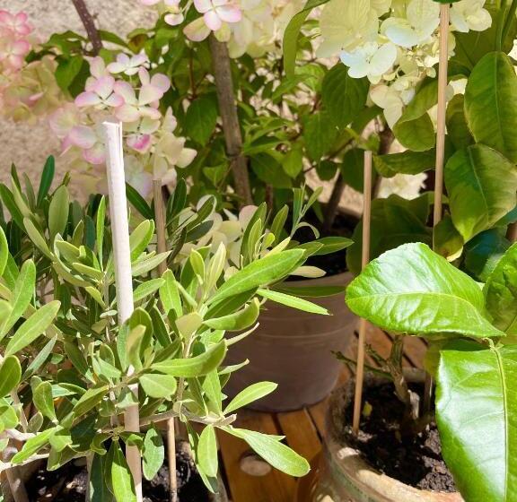 مبيت وإفطار Une Envie De Montagne