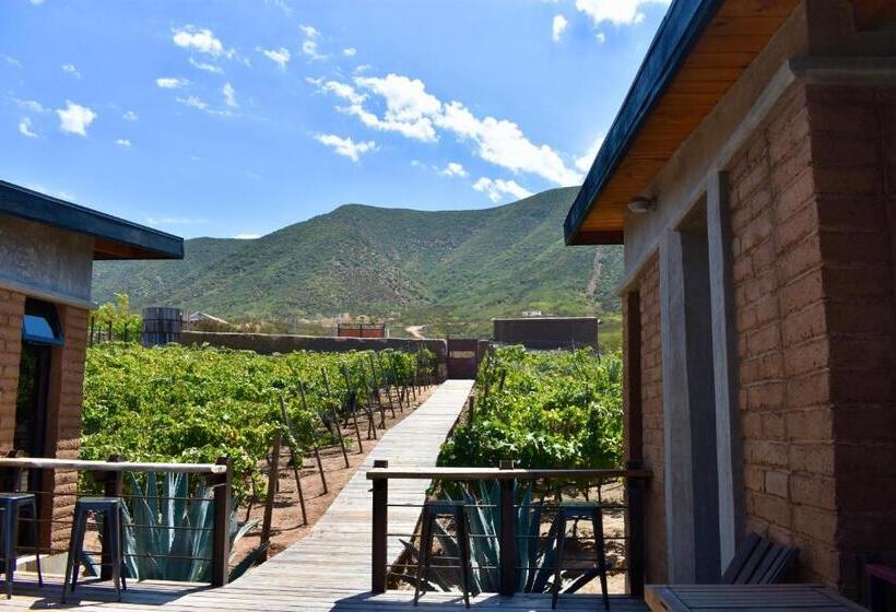 住宿加早餐  Uvauva Eco Retreat