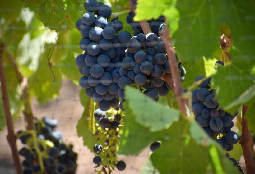 住宿加早餐  Uvauva Eco Retreat