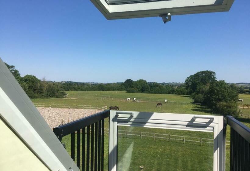 Folly Fields Farm B&b