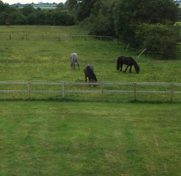Folly Fields Farm B&b