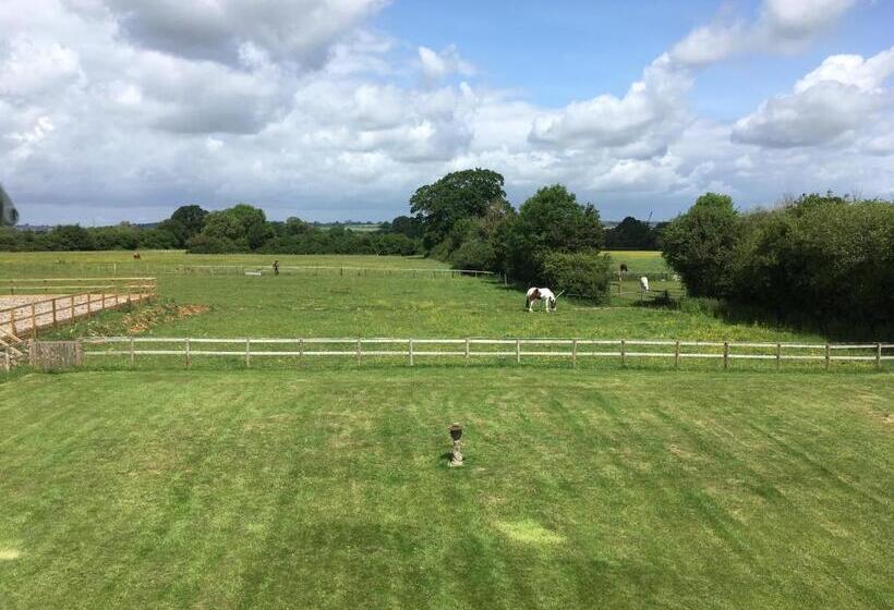 Folly Fields Farm B&b