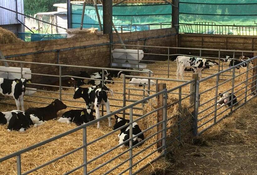 Folly Fields Farm B&b