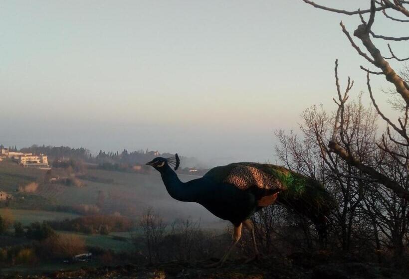 ホテル La Cana Dolce