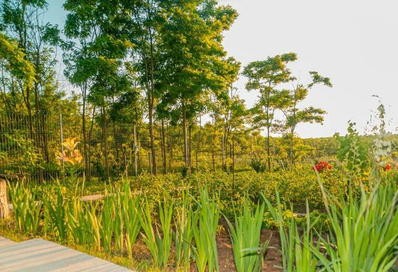 בית מלון כפרי Pensiunea Agroturistica Valentino