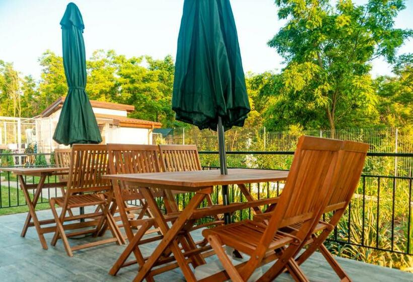 בית מלון כפרי Pensiunea Agroturistica Valentino