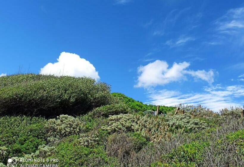 פנסיון Albeldi