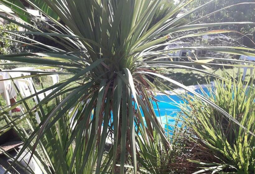 פנסיון Casa Marilena