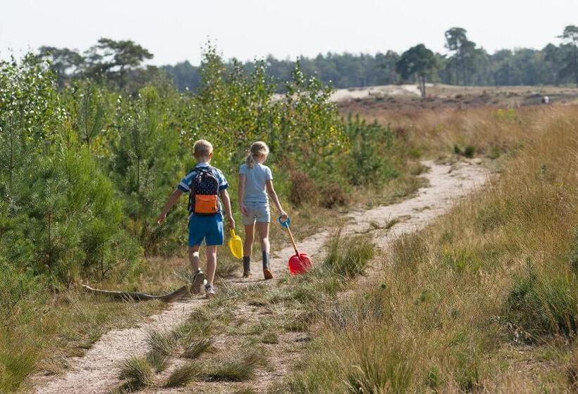 پانسیون De Stal