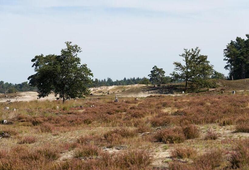 پانسیون De Stal