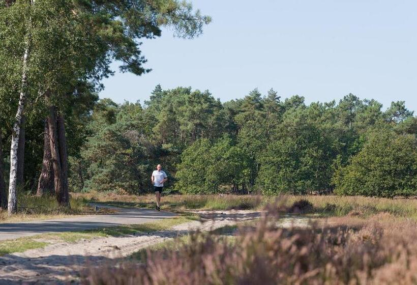 پانسیون De Stal