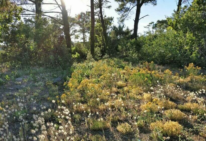 פנסיון Derrière La Plage : Suite, Patio Et Pergola