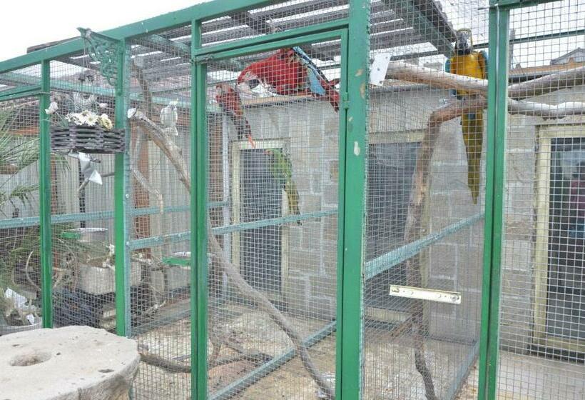 펜션 Guest House Amazonia