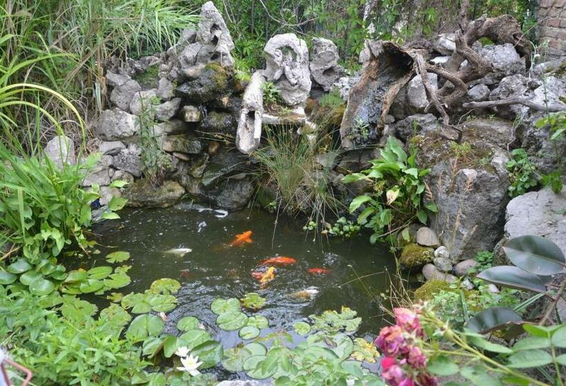 پانسیون Guest House Amazonia