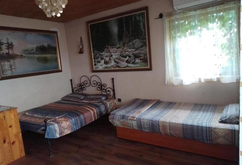 펜션 Guest House Amazonia