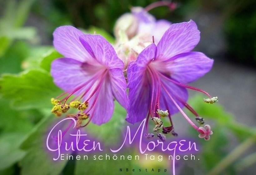 Пансион Haus Willer