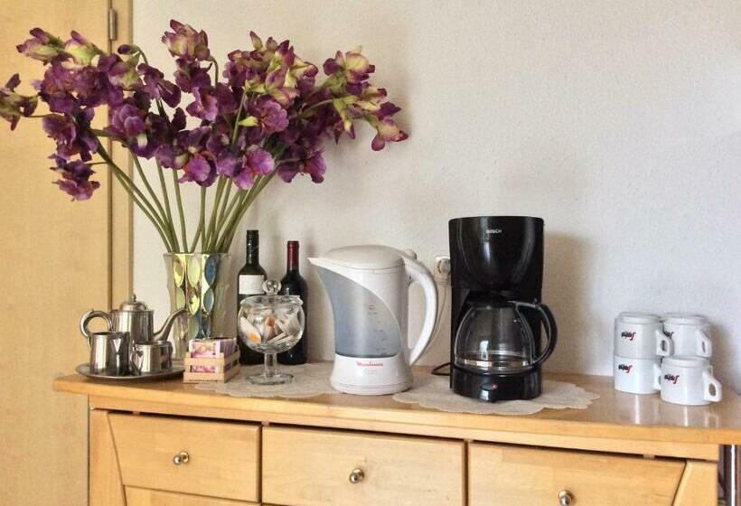 Пансион Haus Willer