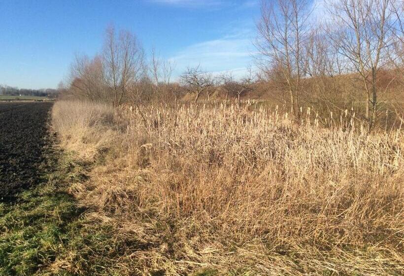 Пансион Haus Willer