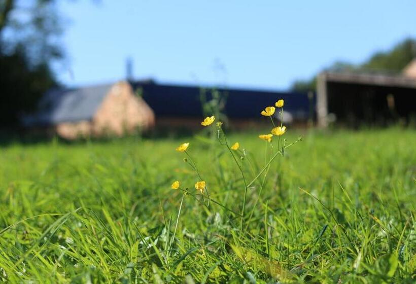 Пансион Hedges House