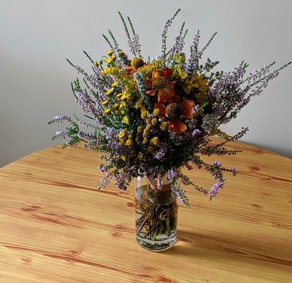 پانسیون Guest House Kamara