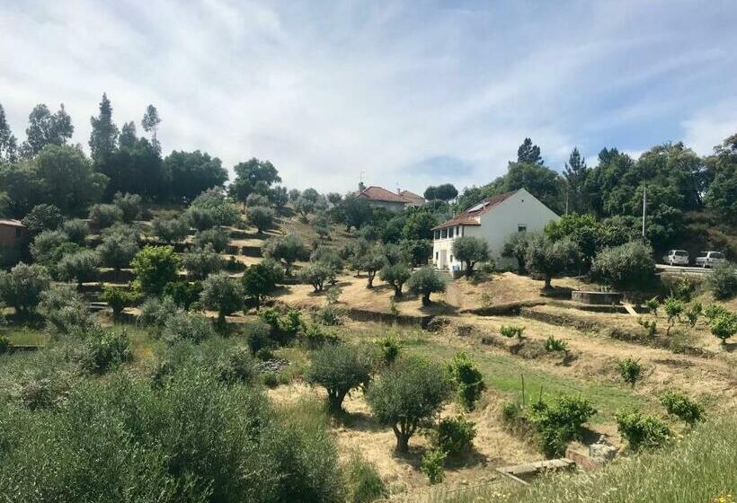 פנסיון Relaxscape