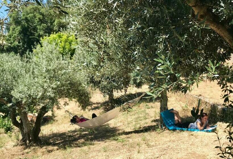 פנסיון Relaxscape