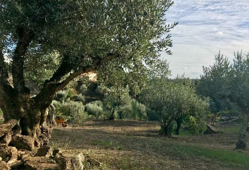 פנסיון Relaxscape