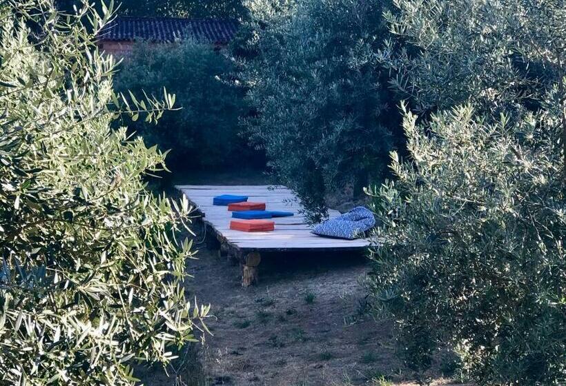 פנסיון Relaxscape