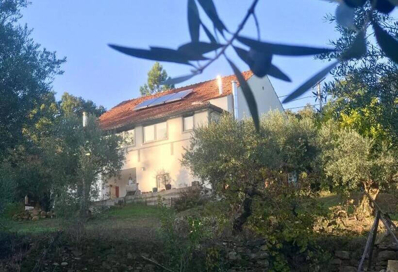 פנסיון Relaxscape