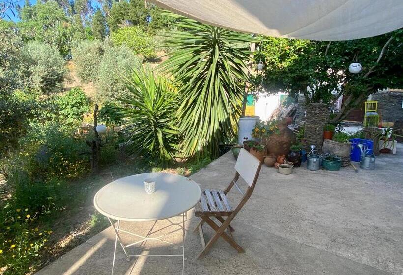 פנסיון Relaxscape