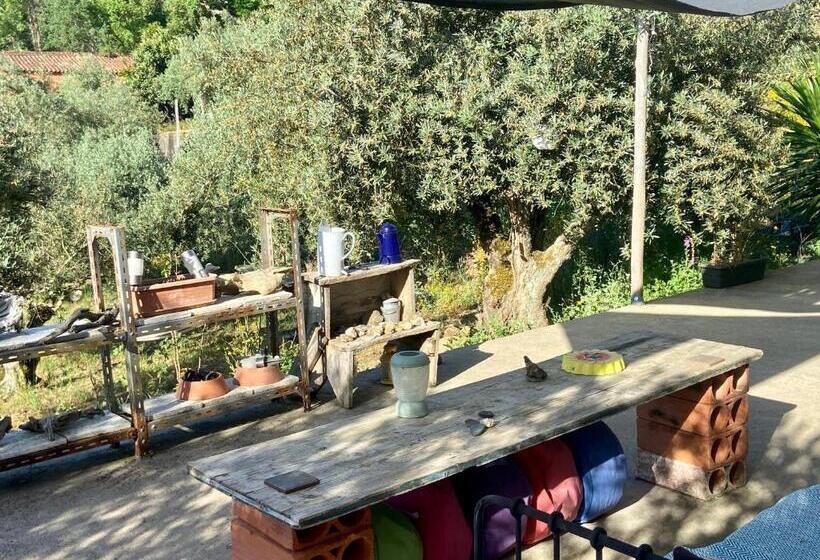 פנסיון Relaxscape