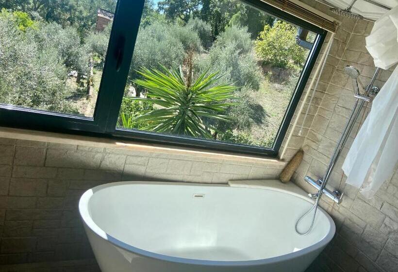 פנסיון Relaxscape