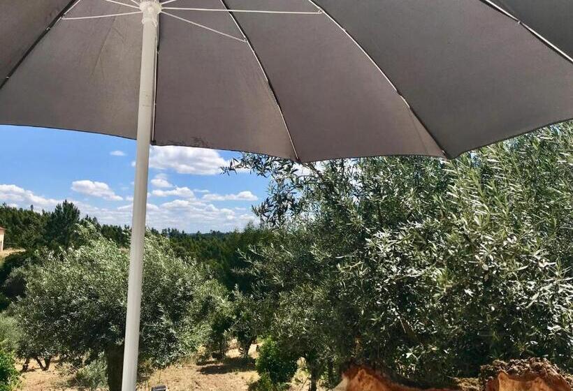 بنسيون Relaxscape