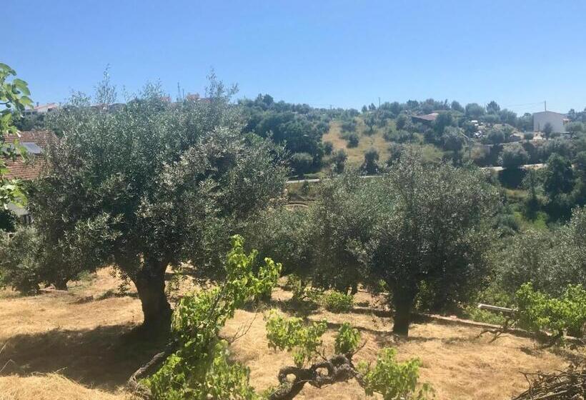 פנסיון Relaxscape