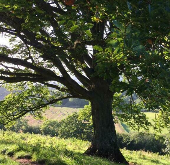 Пансион Tegfan Garden Suite