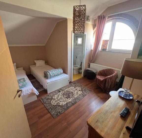 פנסיון Vila Restaurant Sofia