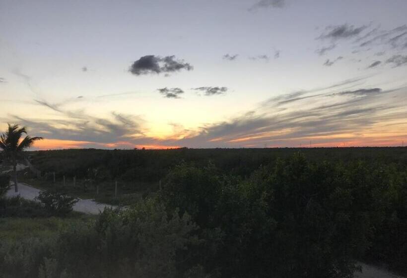 Общежитие Casa Kayab